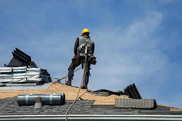 Professional Roofing technician working in Haynesville, VA